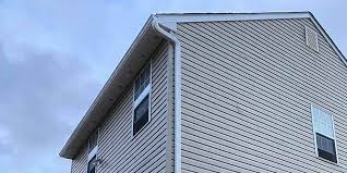 Best Storm Damage Siding Repair  in Pinellas Park, FL